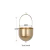 Modern Brass Hanging Plant Pot