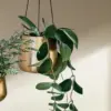 Handcrafted Brass Hanging Planter