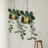 Handcrafted Brass Hanging Planter