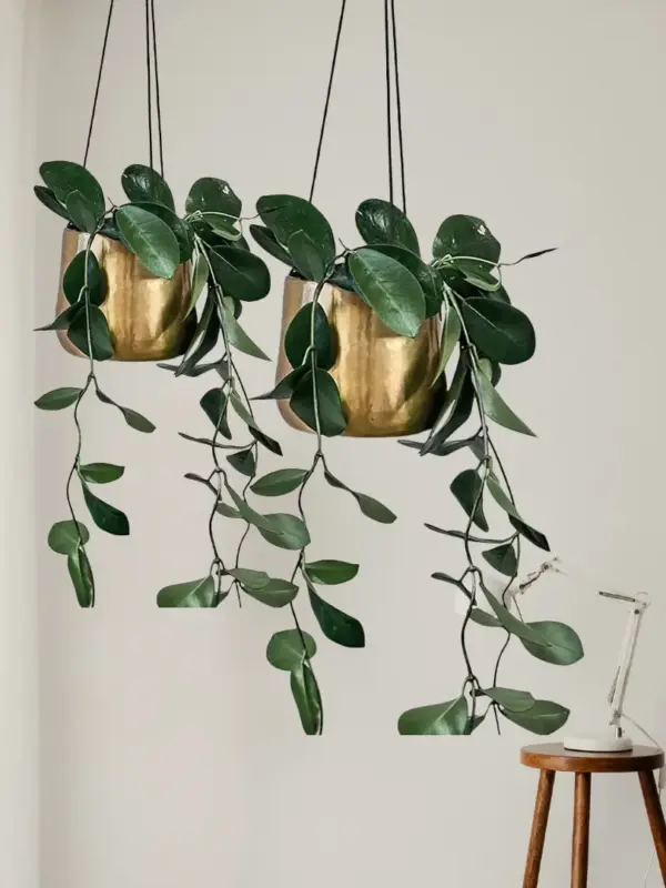 Handcrafted Brass Hanging Planter