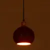 Globe Copper Lamp Pendant
