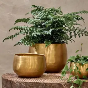 Handcrafted Brass Planters