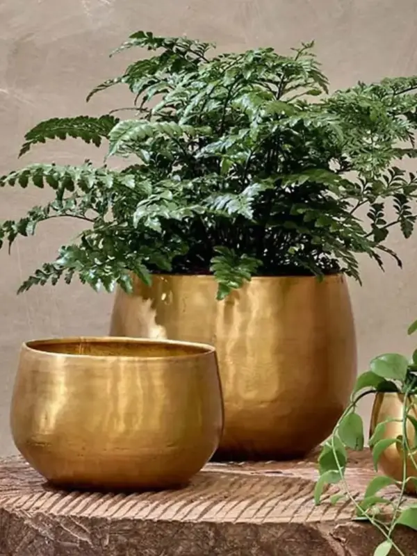 Handcrafted Brass Planters