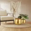 Handcrafted Brass Planters