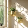 Modern Brass Hanging Plant Pot
