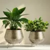 Vintage Hammered Brass Planting Pots with Tripod Stand